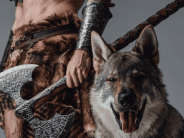 Over 200 Badass Viking Dog Names for Your Fierce Companion