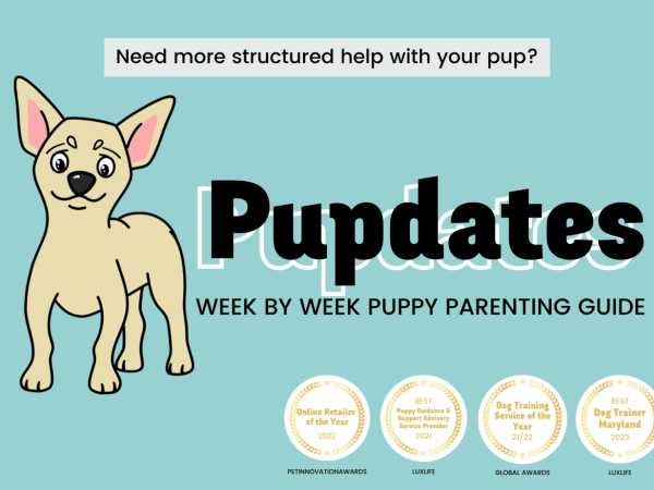 The Toughest 25 Dogs To Potty Train